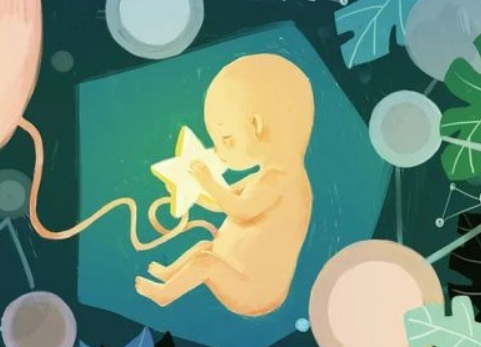 台湾借卵试管-台湾成熟的试管婴儿技术可以成为不孕不育家庭实现生育愿望的新希望