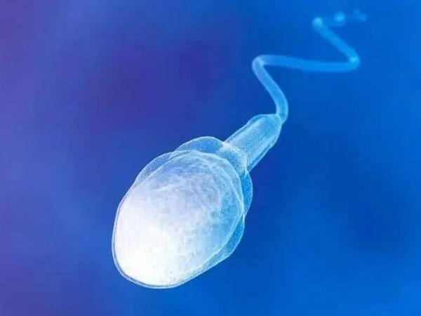 南昌53岁助孕生子：精子质量的三分钟指南：淡黄色的精子可能是可育的。