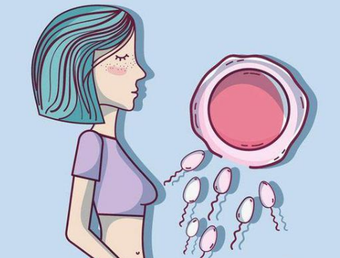 鄂尔多斯44岁合法供卵：导致女性卵泡萎缩的原因有很多，治疗方法也很多。