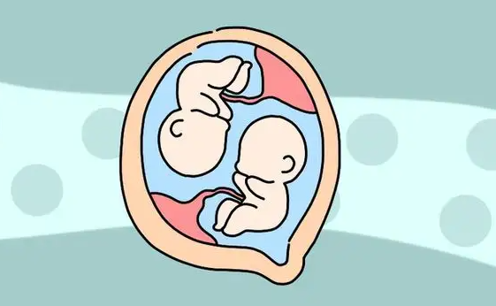邯郸供卵试管助孕双胞胎：这取决于受精卵细胞的情况